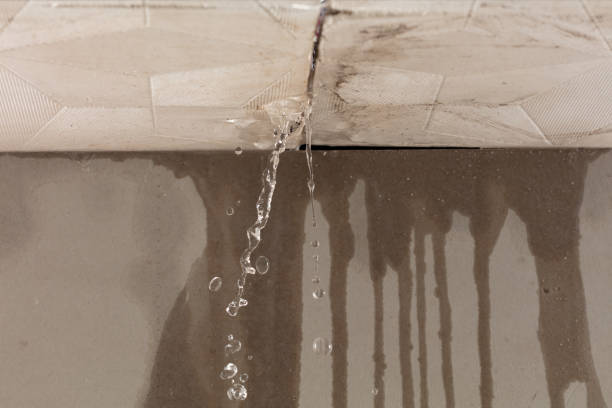 Professional Water Damage Inspection technician working in Central City, NE